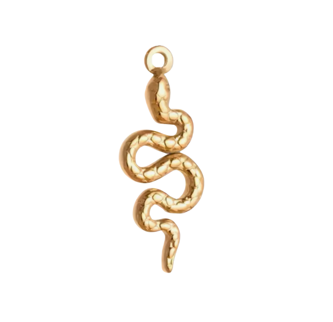 Gold Snake Charm