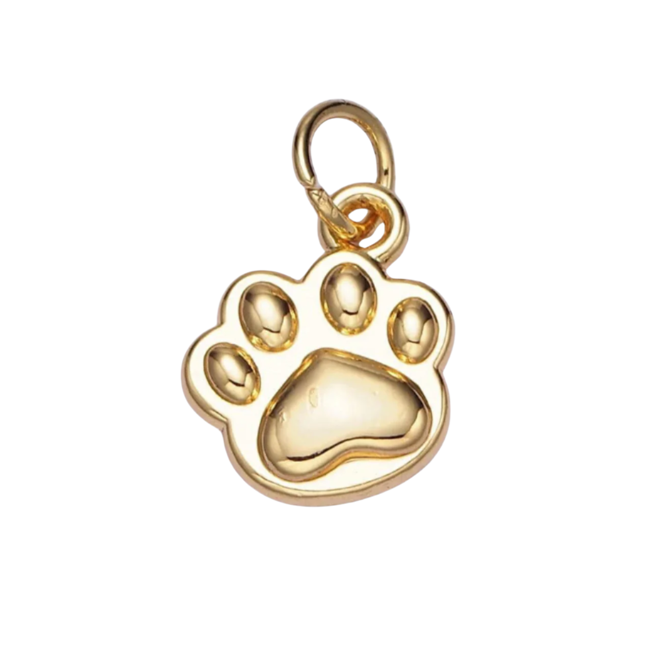 Paw Print Charm
