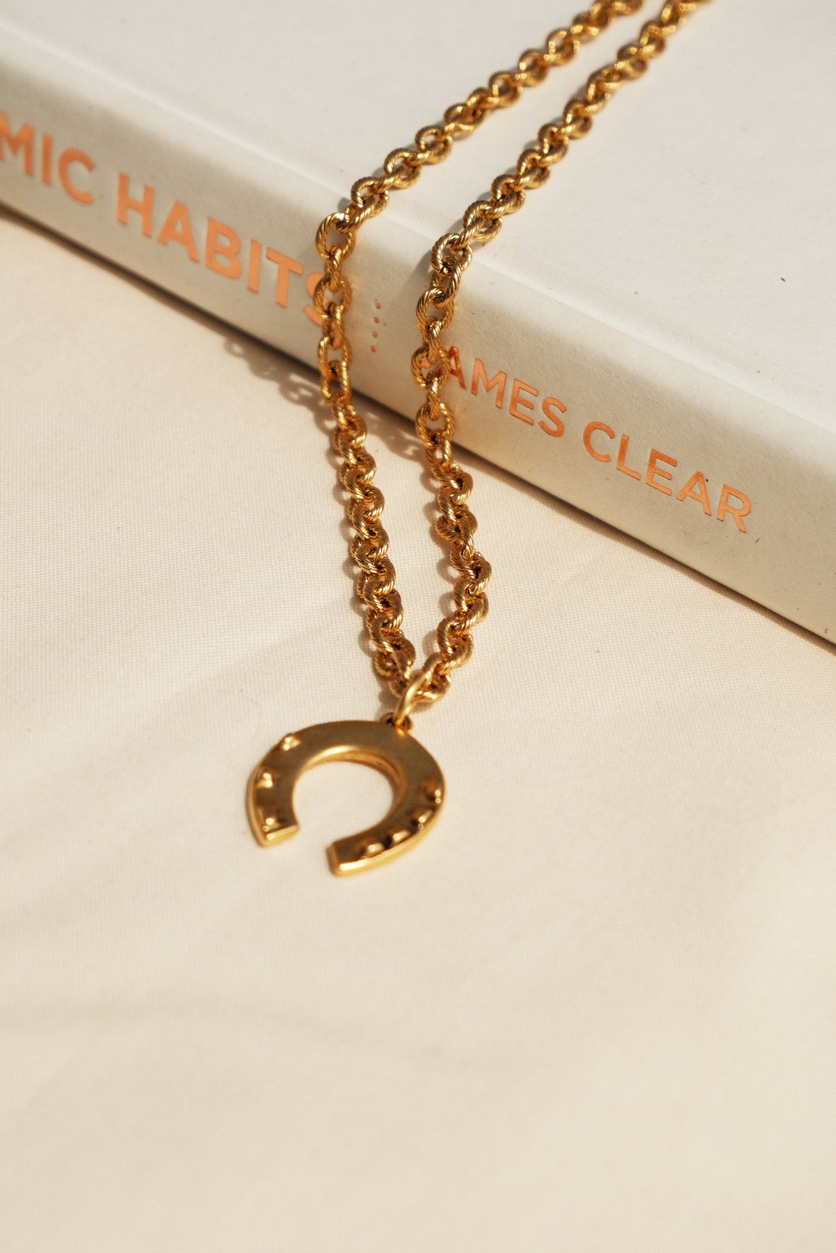 Horseshoe Necklace